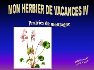 MON HERBIER DE VACANCES IV