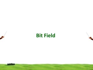 Bit Field