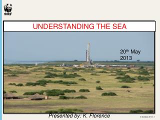 UNDERSTANDING THE SEA