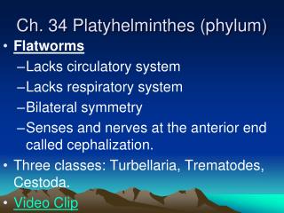 Ch. 34 Platyhelminthes (phylum)