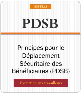 Principes pour le Déplacement Sécuritaire des Bénéficiaires (PDSB)