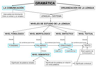 GRAMÁTICA