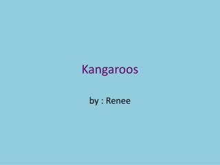 Kangaroos