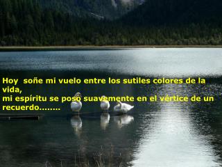 Hoy soñe mi vuelo entre los sutiles colores de la vida,
