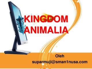 KINGDOM ANIMALIA