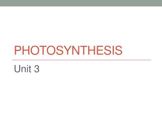 Photosynthesis