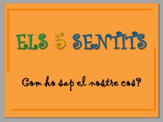 ELS 5 SENTITS