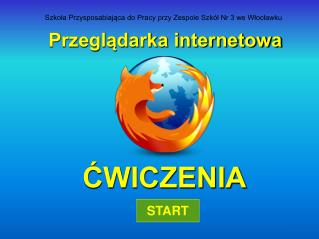 Przeglądarka internetowa