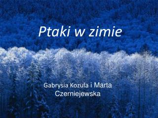 Ptaki w zimie