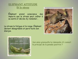 ELEPHANT ATTITUDE Et le stress