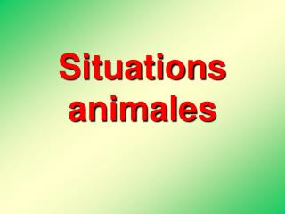 Situations animales