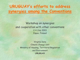 URUGUAY’s efforts to address synergies among the Conventions
