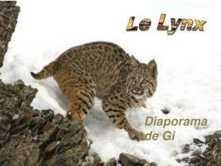 Le Lynx