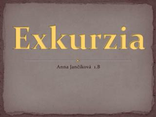 Exkurzia