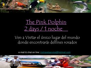 The Pink Dolphin 2 days / 1 noche    