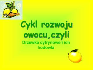 Cykl rozwoju owocu,czyli