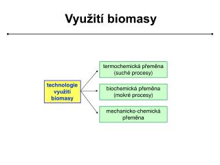 Využití biomasy