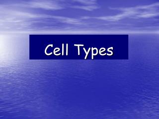 Cell Types