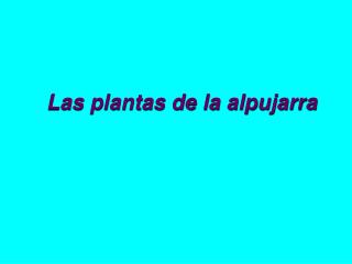 Las plantas de la alpujarra