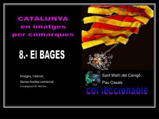 8.- El BAGES