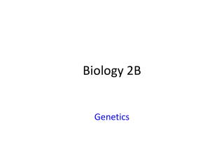 Biology 2B