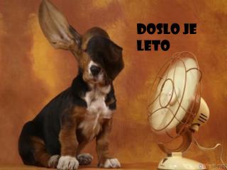 Doslo je leto