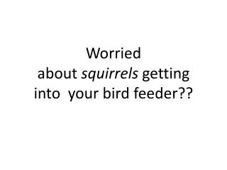 Worried about  squirrels  getting into  your bird feeder??