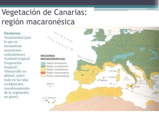 Vegetación de Canarias: región macaronésica