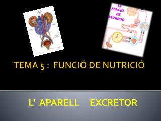 TEMA 5 : FUNCIÓ DE NUTRICIÓ