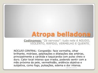 Atropa belladona