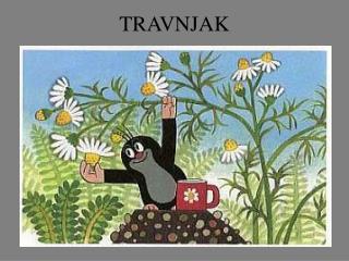 TRAVNJAK