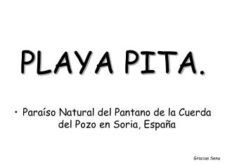 PLAYA PITA.