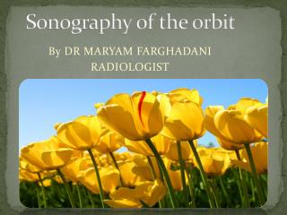 Sonography of the orbit