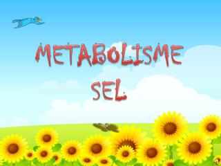 METABOLISME SEL