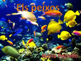 Els peixos