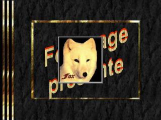 Foximage présente