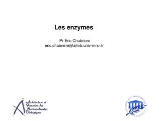 Les enzymes