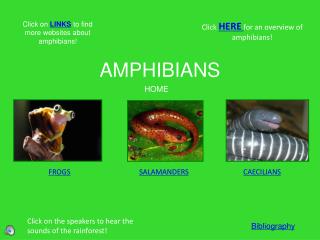 AMPHIBIANS