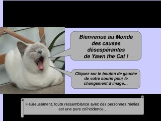 Bienvenue au Monde des causes désespérantes de Yawn the Cat !