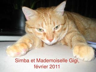 Simba et Mademoiselle Gigi, février 2011