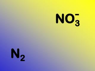 N 2