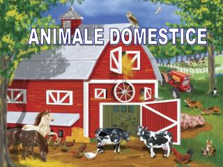 ANIMALE DOMESTICE