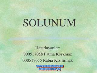 Hazırlayanlar: 000517058 Fatma Korkmaz 000517055 Rabia Kızılırmak