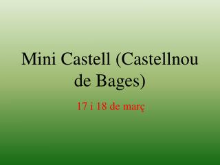 Mini Castell ( Castellnou de Bages )
