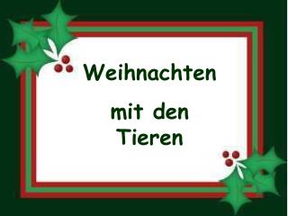 Weihnachten mit den Tieren