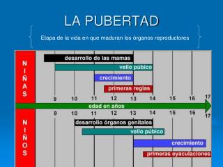 LA PUBERTAD