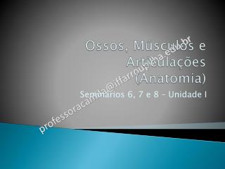 Ossos, Músculos e Articulações (Anatomia)