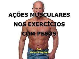 AÇÕES MUSCULARES NOS EXERCÍCIOS COM PESOS Prof : Thomaz B Marquez