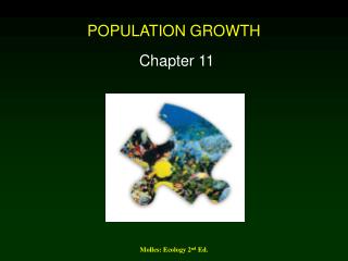 POPULATION GROWTH