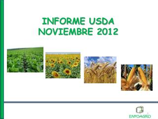 INFORME USDA NOVIEMBRE 2012